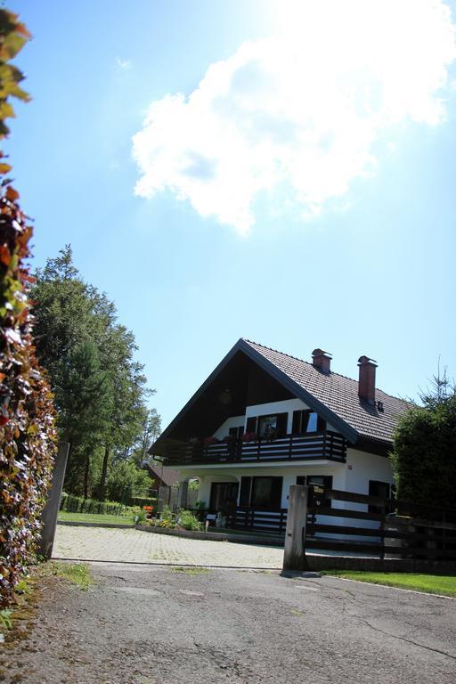 Lake House Apartment Medvode Exteriér fotografie