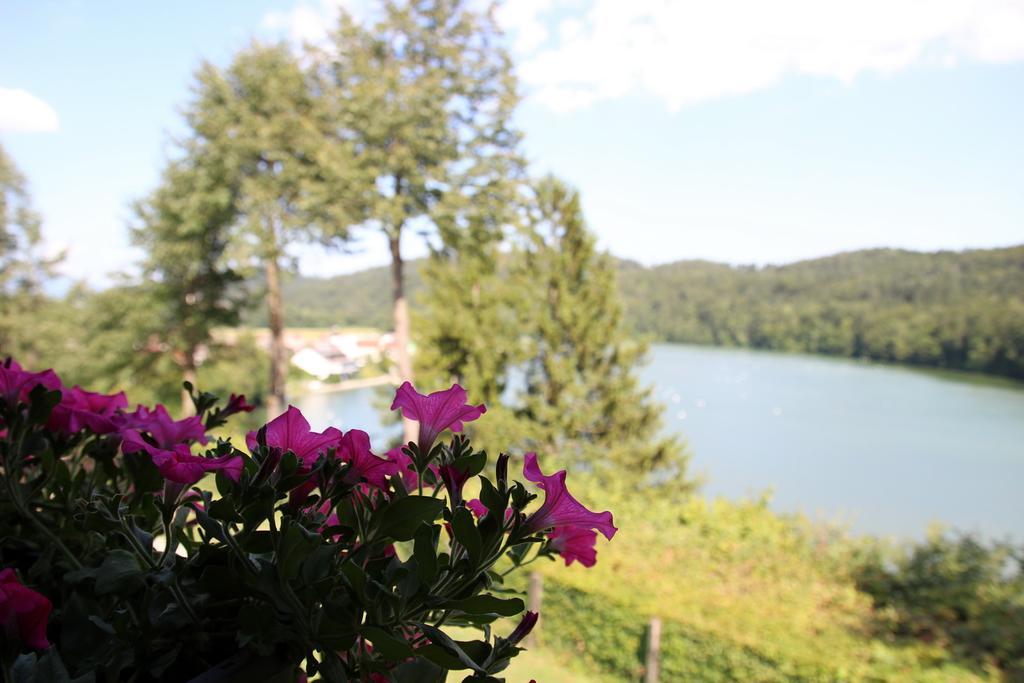 Lake House Apartment Medvode Exteriér fotografie