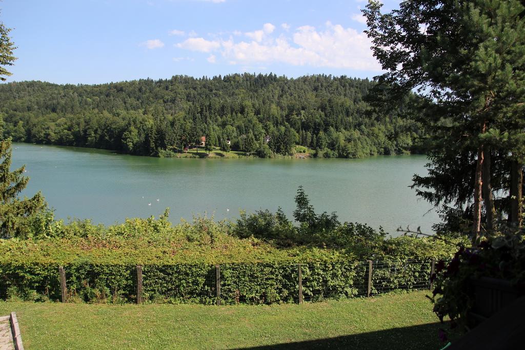 Lake House Apartment Medvode Exteriér fotografie